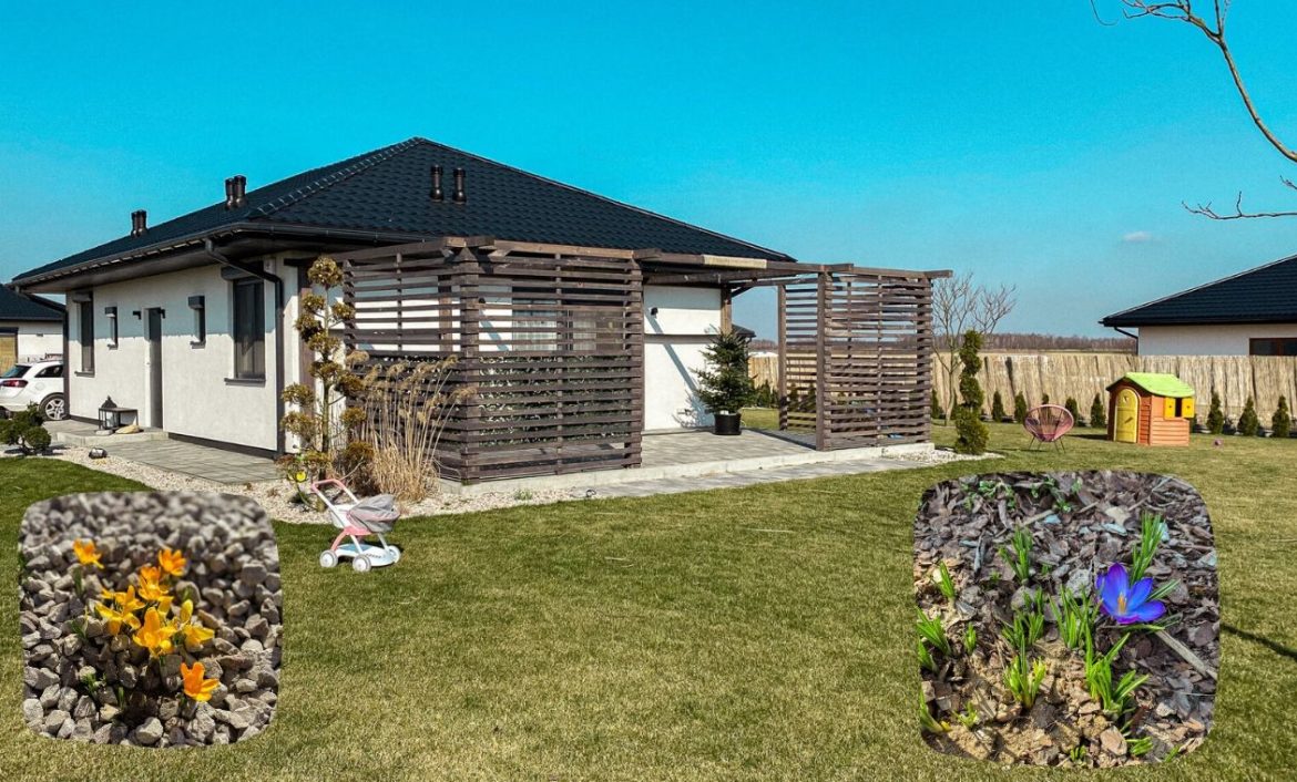 PIERWSZE PRACE OGRODOWE. OGRÓD PO ZIMIE